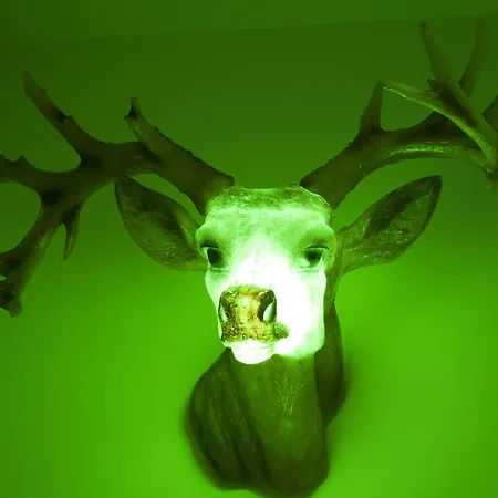 Agora Szálloda Róma