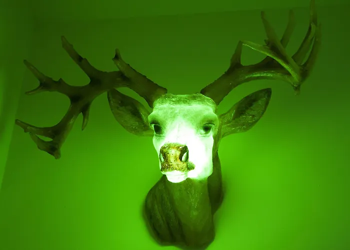 Agora Szálloda Róma